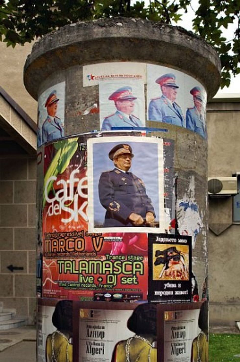 KONICA MINOLTA DIGITAL CAMERA