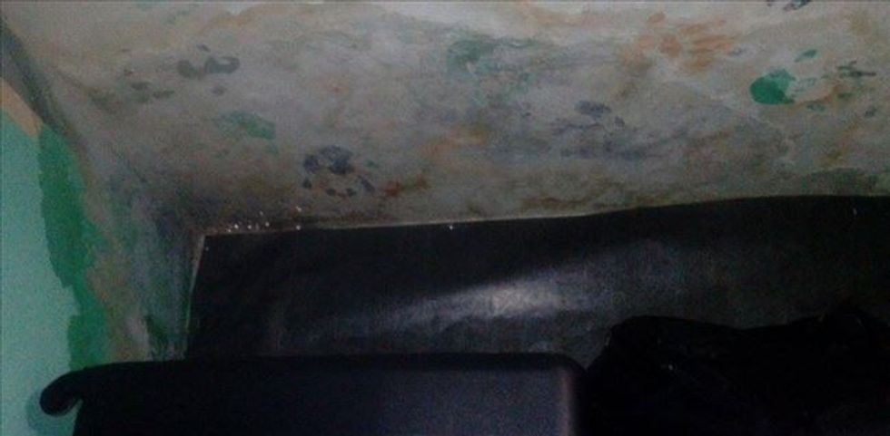 konviktin stiv naumov