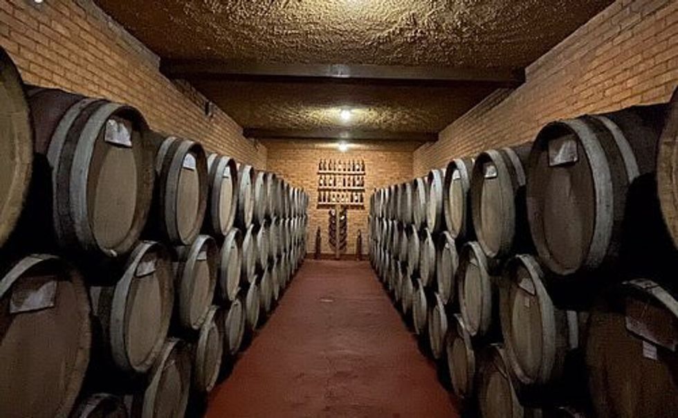 kosova wine rahovec vineyards