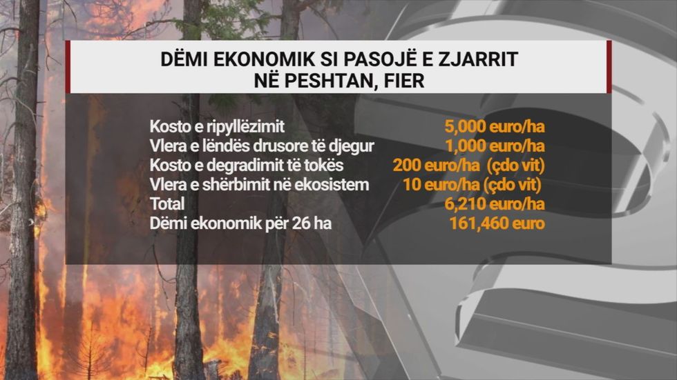 KR KOSTOT E ZJARREVE frame 231 2