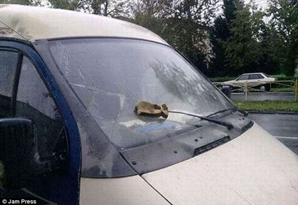 Kreativiteti foto 10