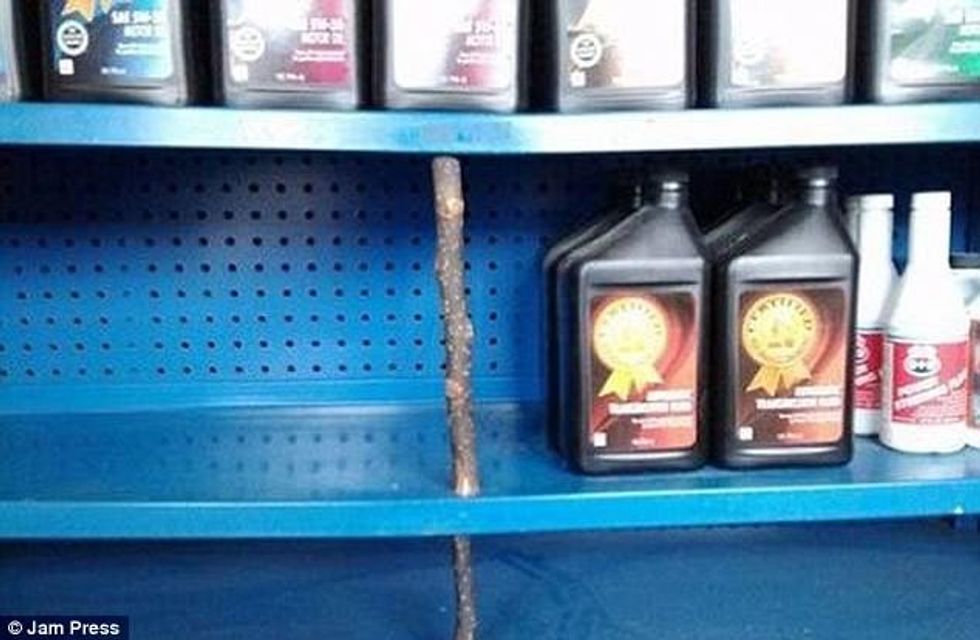 Kreativiteti foto 14