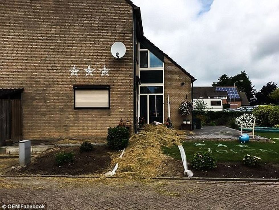 Kthehen nga muaji mjaltit gjejne shtepine e kthyer ne kopsht zoologjik foto 3