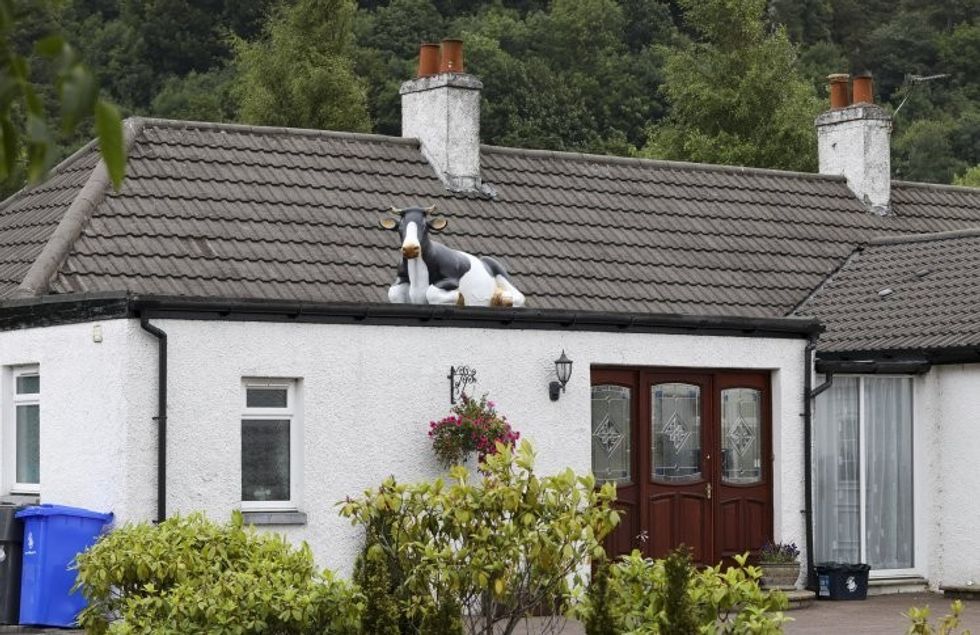 Kthehet nga pushimi gjeti ne kulm objektin misterioz me permasa gjigante foto 2