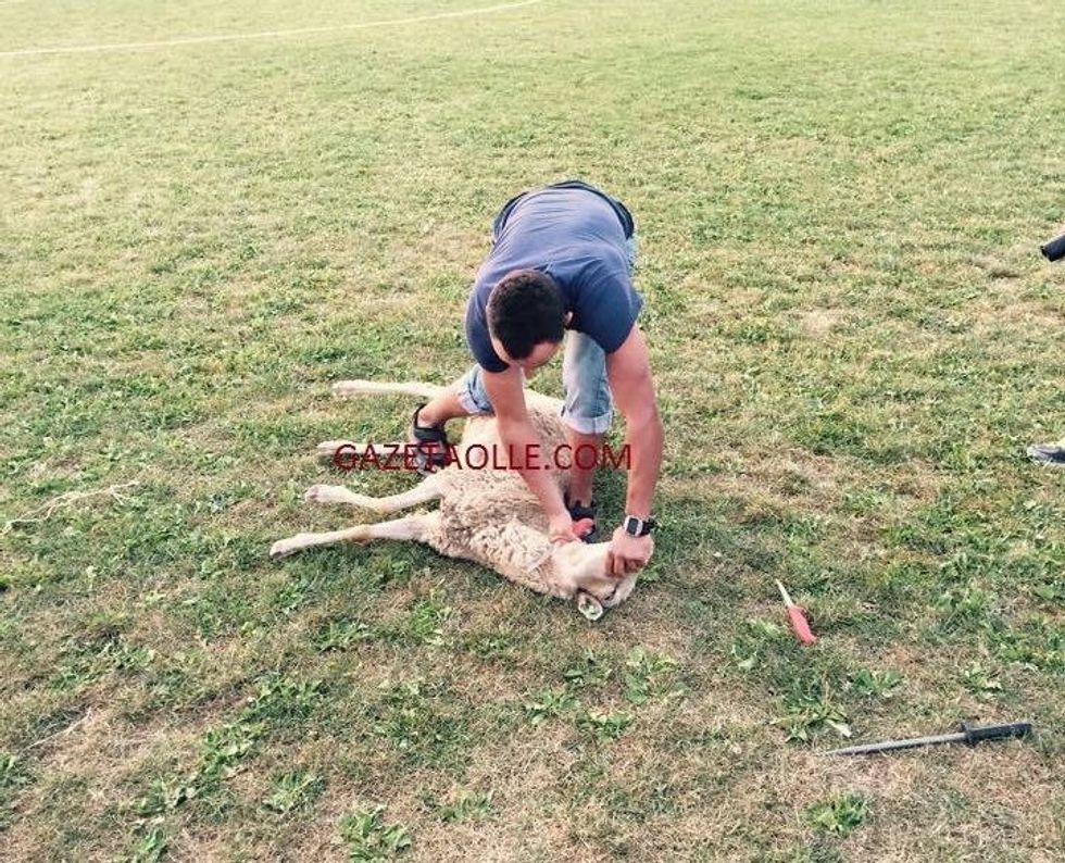 kurbani 12 e1493742361960