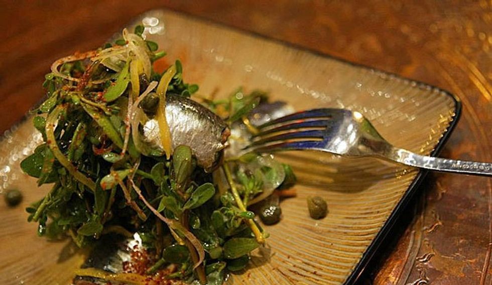 KZ3LHW25PBG4HAS5YNBRVYPNAI