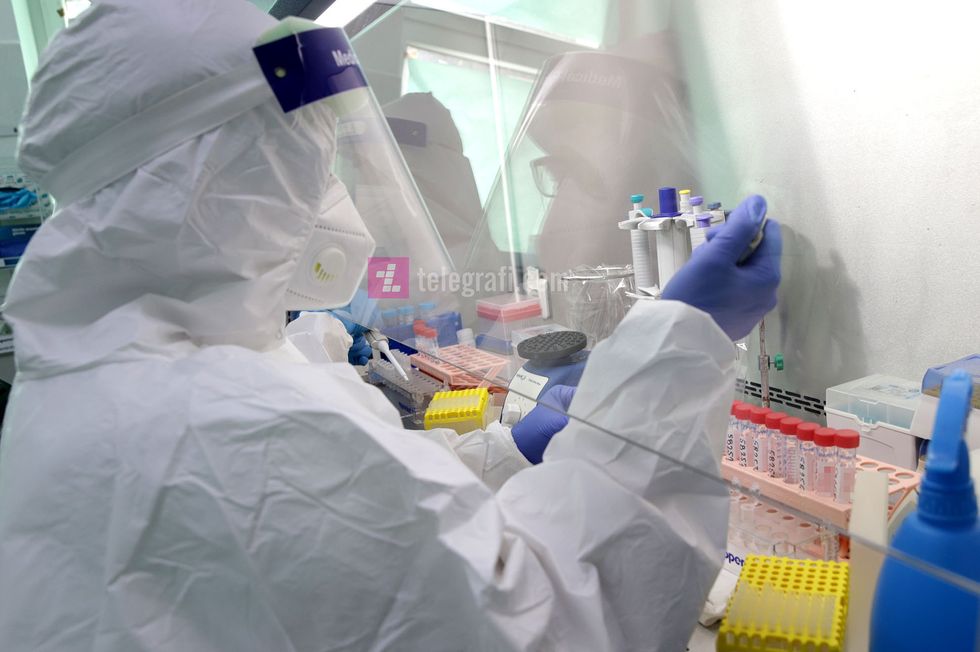 Laboratoret per COVID 19 ne IKSHPK foto Ridvan Slivova 16