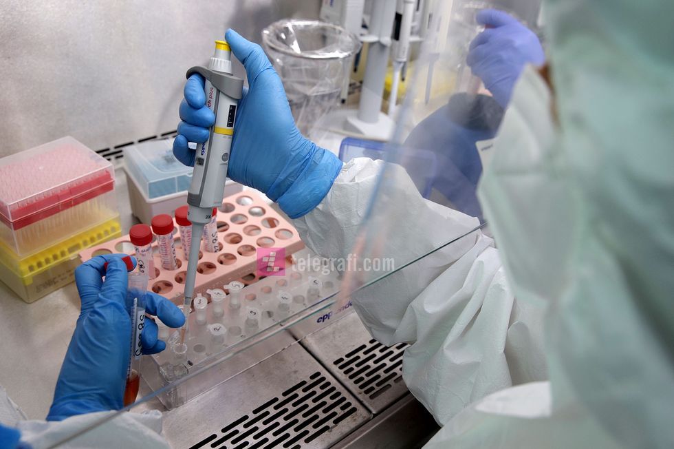 Laboratoret per COVID 19 ne IKSHPK foto Ridvan Slivova 17