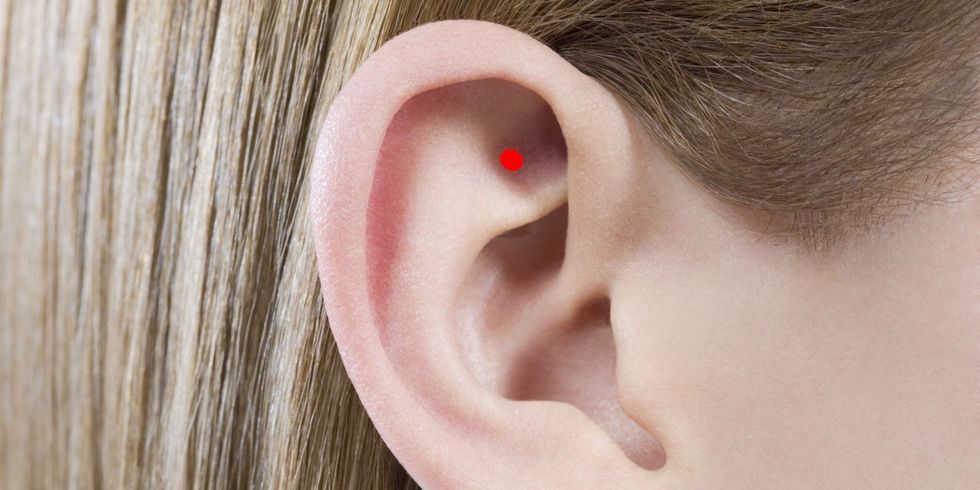 landscape-1444059492-ear