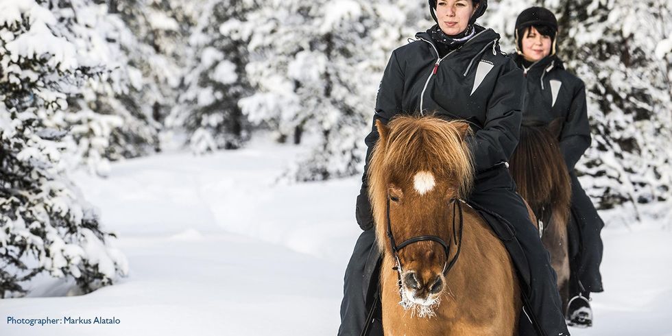 lapland icehotel 12 1