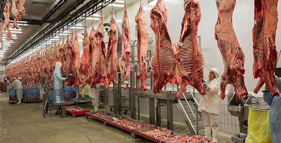 Largest cattle slaughter facility in Latin America, with a double-feed single line that can kill and process 240 cattle per hour, turning them into various beef products ranging from steaks, to hamburger (for McDonalds) to ground hoofs and bones for animal food. Different beef parts are sent to various countries. Average annual production is 900,000. I was told by my guide, a 28 y.o. veterinarian named Debra, that 90% of their product is for export, but not able to get verification as plant manager was absent when my visit was over.