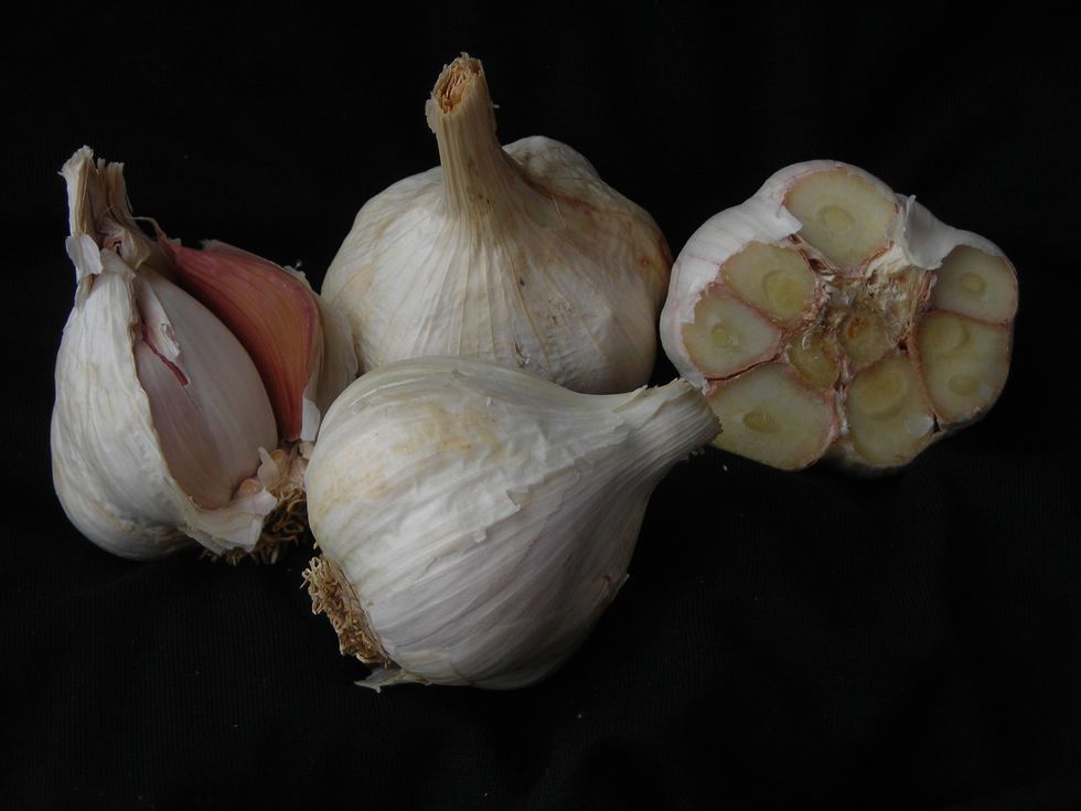 late fall 2011 469 polish white garlic