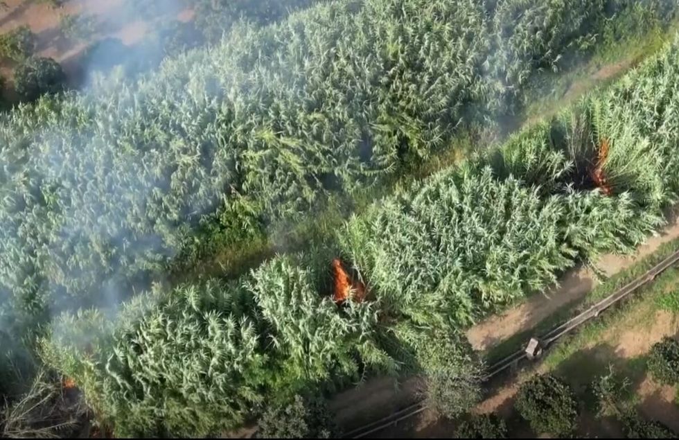 lcimg 1dcd99dd 1bbc 4395 9f4f 417141e059b4