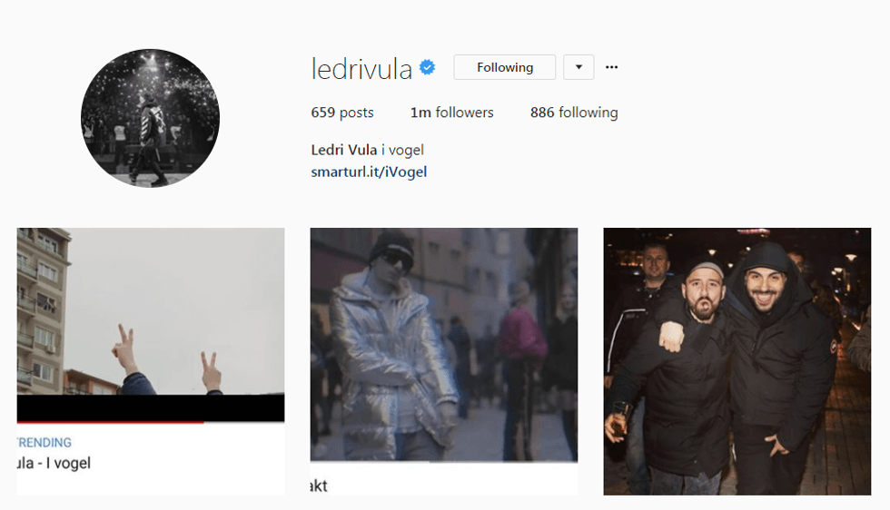 ledri 1