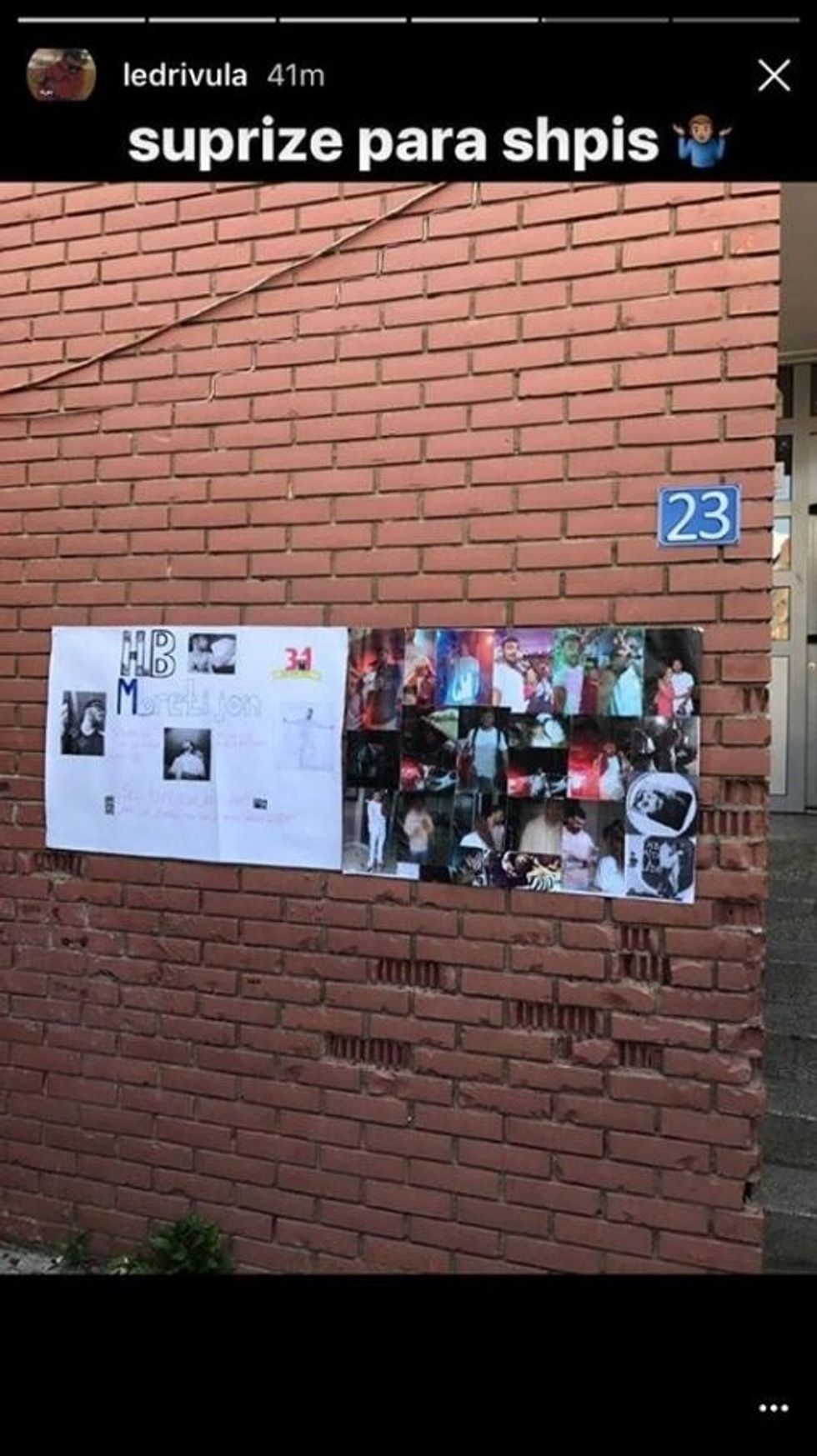 ledri2 1