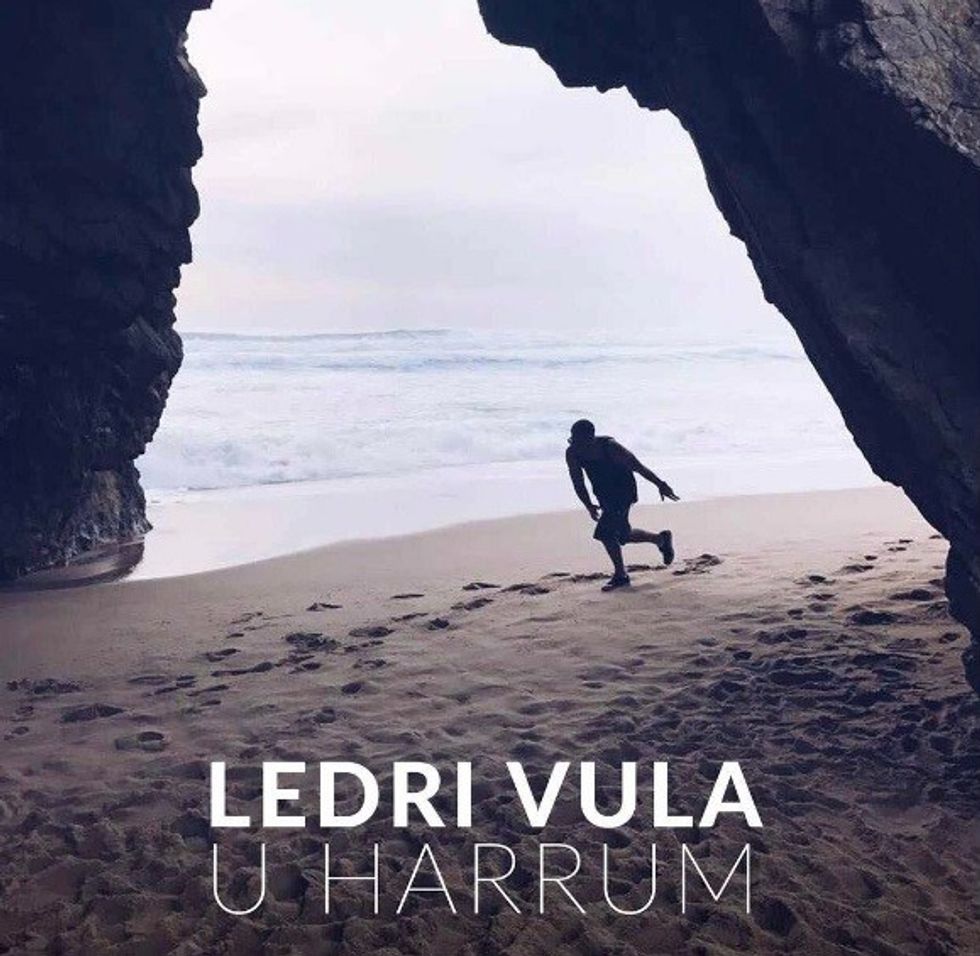 ledri2