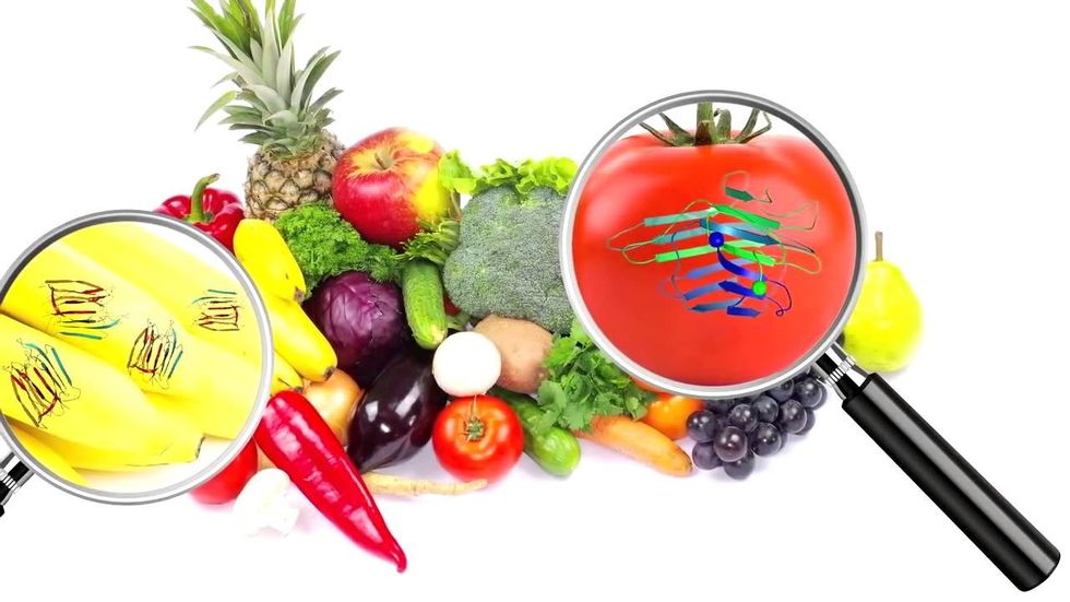 Lektinet në artikujt ushqimorë... dhe tekste te tjera