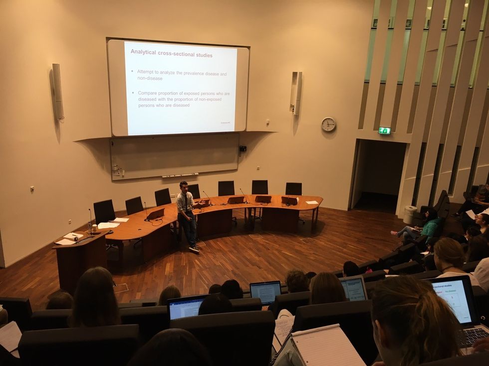 Lektor Hollande 2016