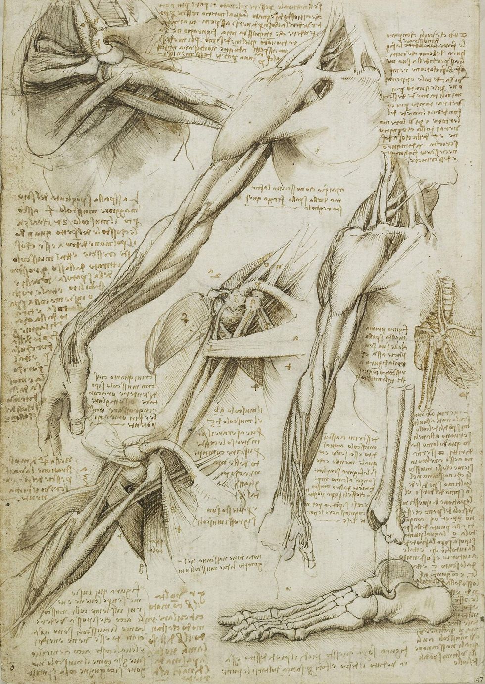 Leonardo e1547032963208