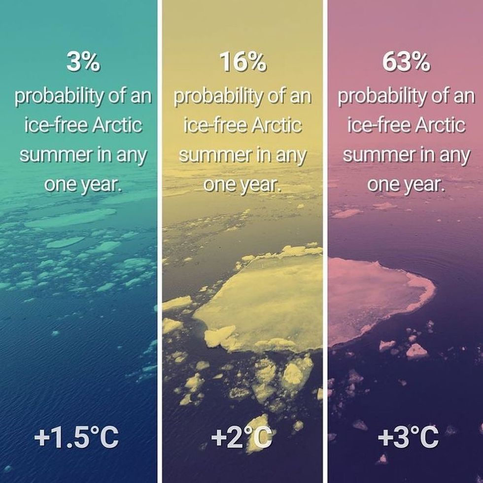 leonardodicaprio 217449778 932568130923077 3638230386341528328 n