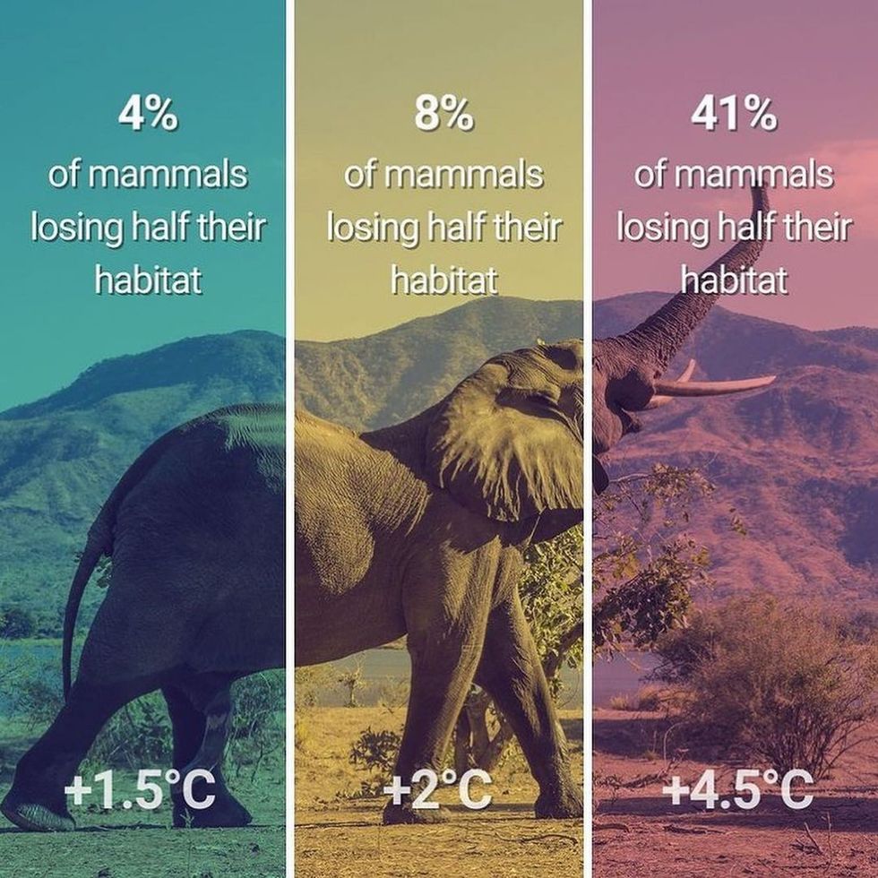 leonardodicaprio 217583486 791184728246315 5257328363241335203 n