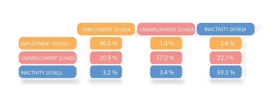 LFS flow matrix 2018Q4