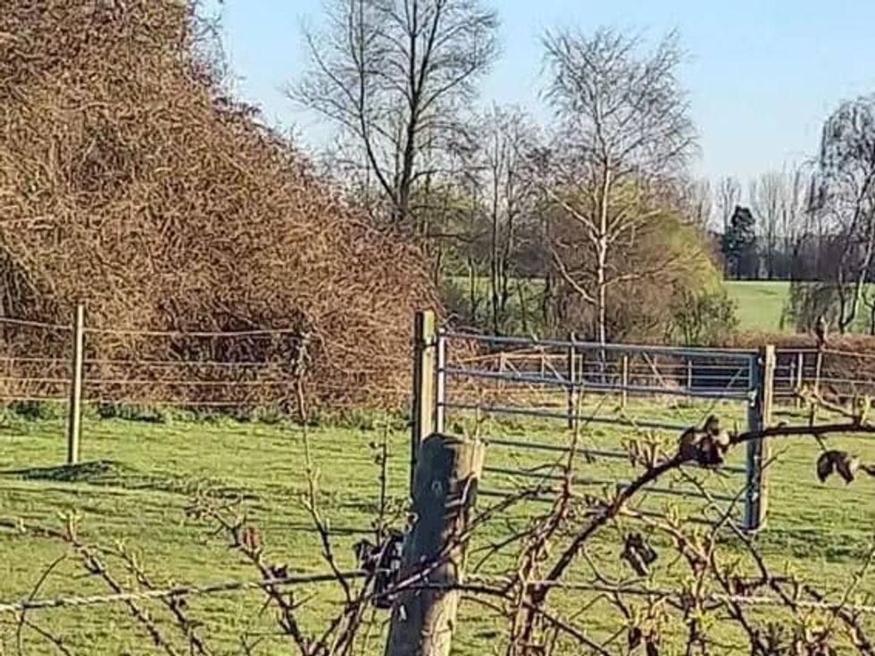 lidcdiy59gowmqmi9l7e