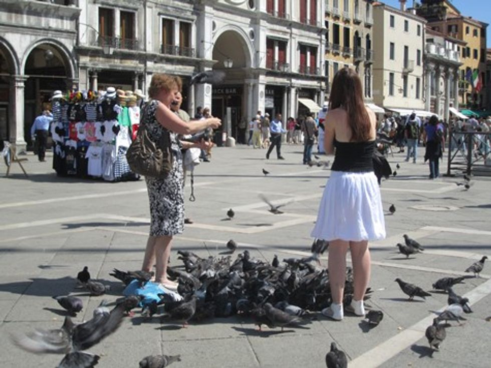 ligjet dhe turizmi 2