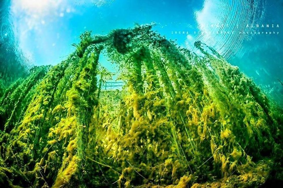 liqeni viroit shpella gjirokastra online