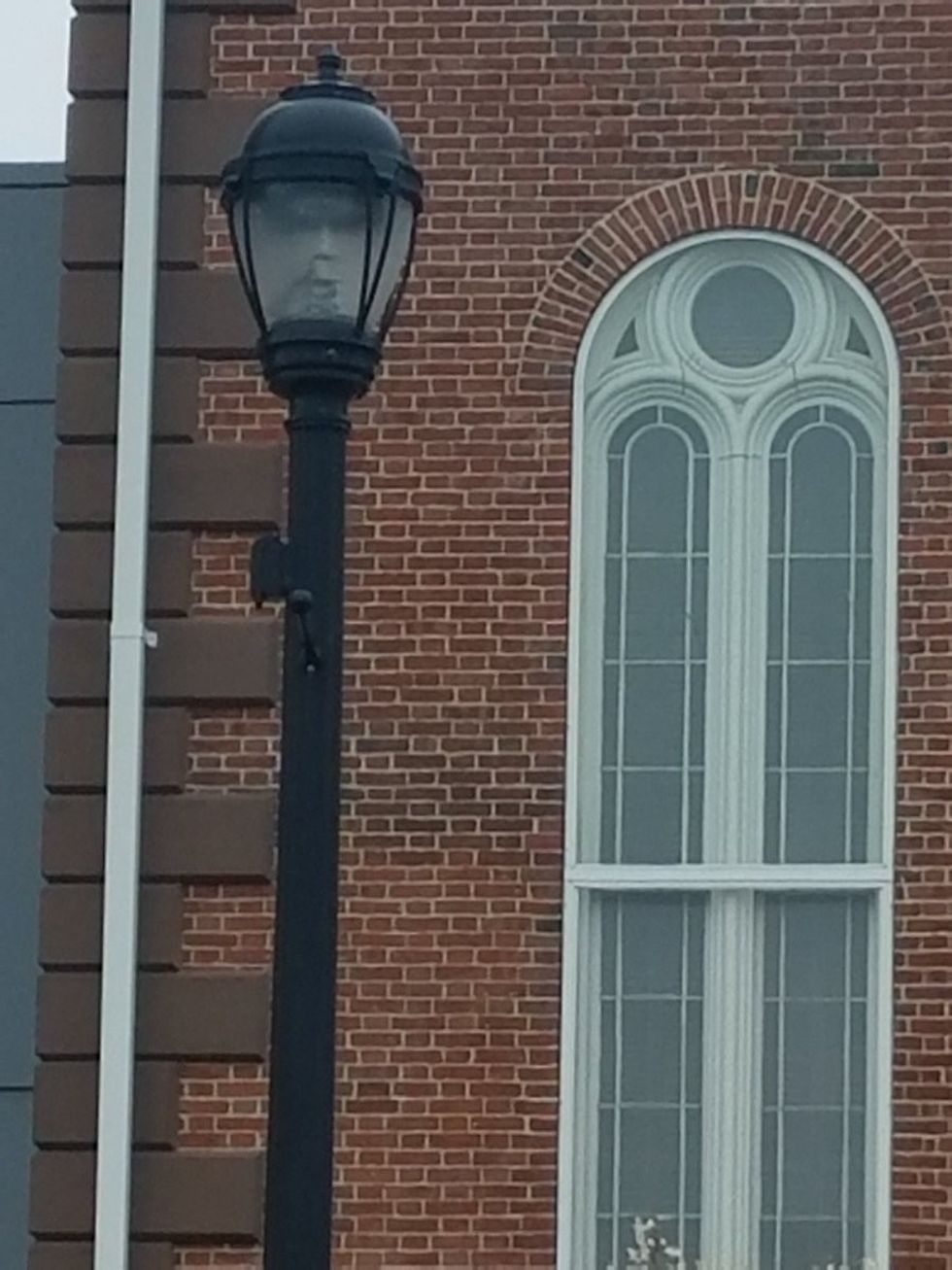 Llamba frikëson kalimtarët duket sikur ka nje koke brenda foto 2