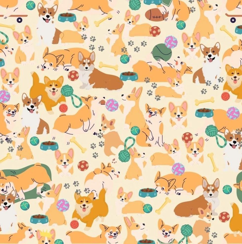 lordsandlabradors 83