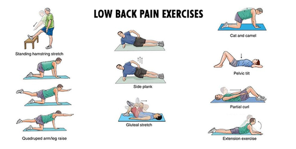 lower back pain exercises