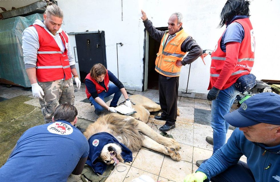 Luanet1 e1557224015627