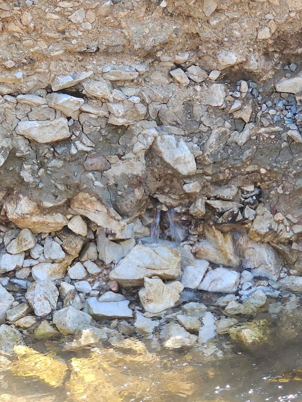 lvv pellgu nashec uji has