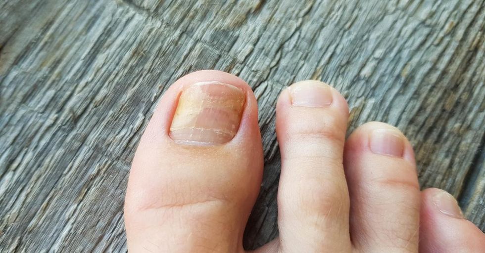 LytktkpTURBXy81YTA4YjE2MmJmNzA0ZDIxODZlNzI5ZTYwM2M0NTIzNS5qcGeRkwXNBLDNAnM