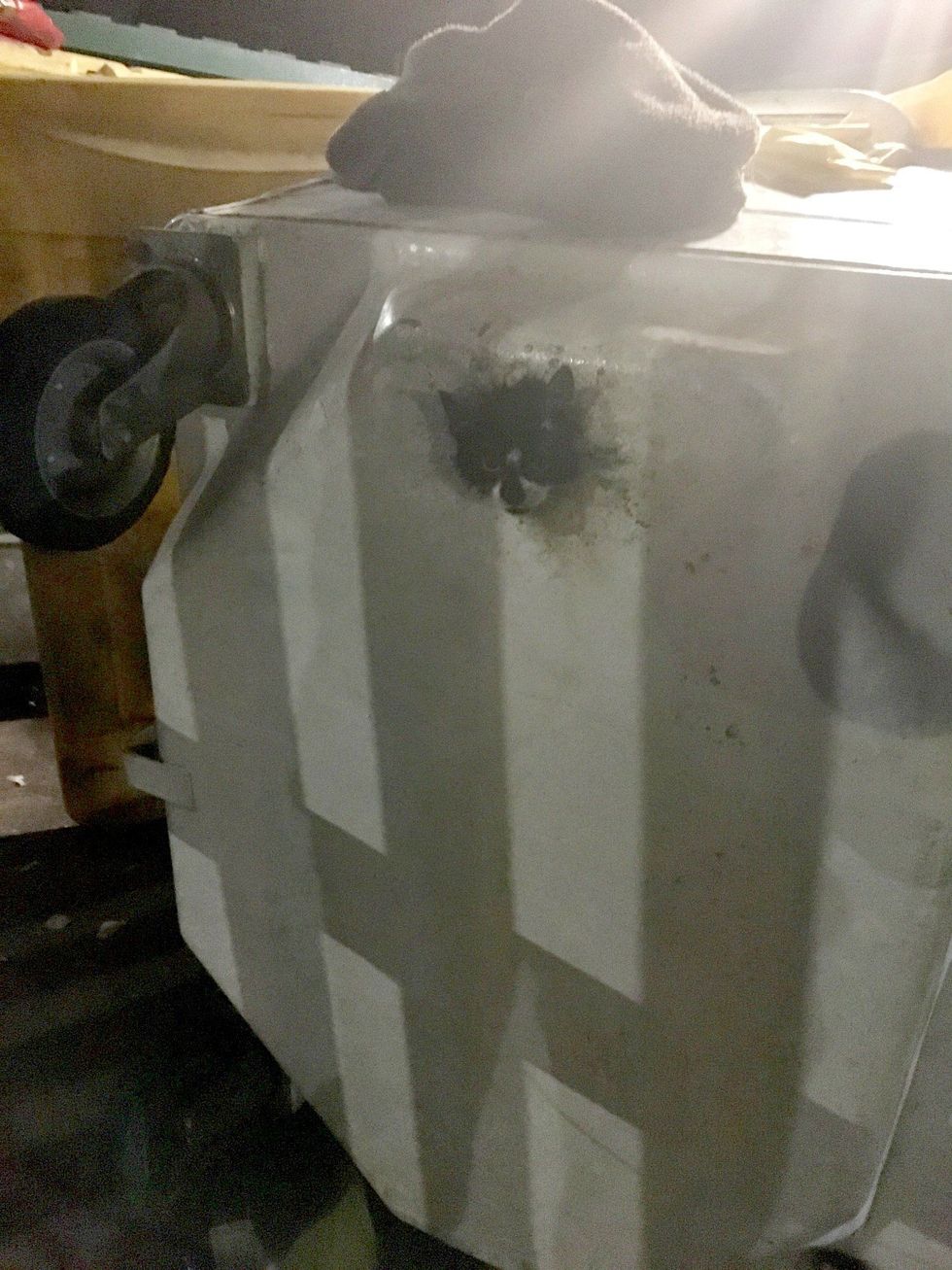 Macja ngecë në kontejner i nxjerre pune ekipit te zjarrfikesve foto 2