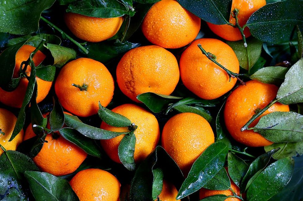 mandarin oranges