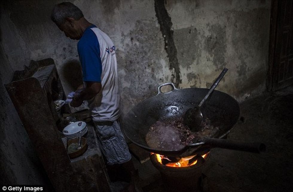 Mangësitë ligjore lejojnë që qentë të mbyten brutalisht dhe të shiten për mish foto 5