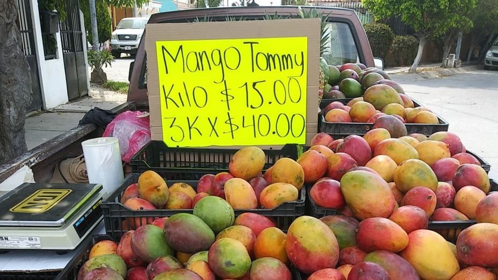 Mangos in a market