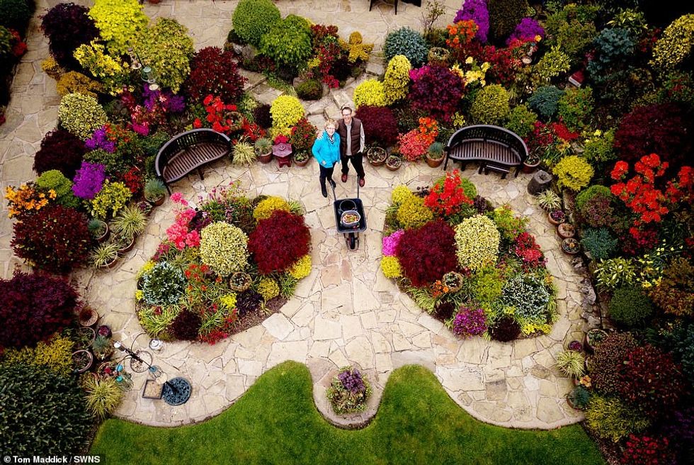 Marie started attending to the garden in 1982 when she retired as a transport planner and taught herself horticulture