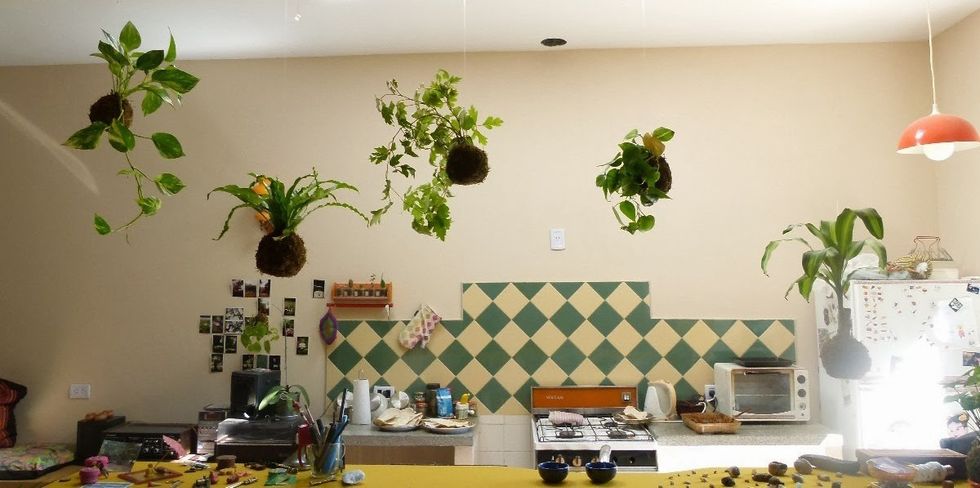 mas-kokedamas-plantas-voladoras-sin-maceta_MLA-F-4105177225_042013