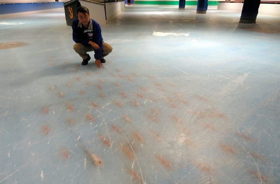 mbyllet-patinazhi-bizar-ne-te-cilin-ndodheshin-pesemije-peshq-te-ngordhur-foto-4