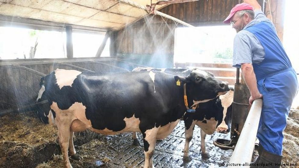 Me shtimin e vajrave ushqim