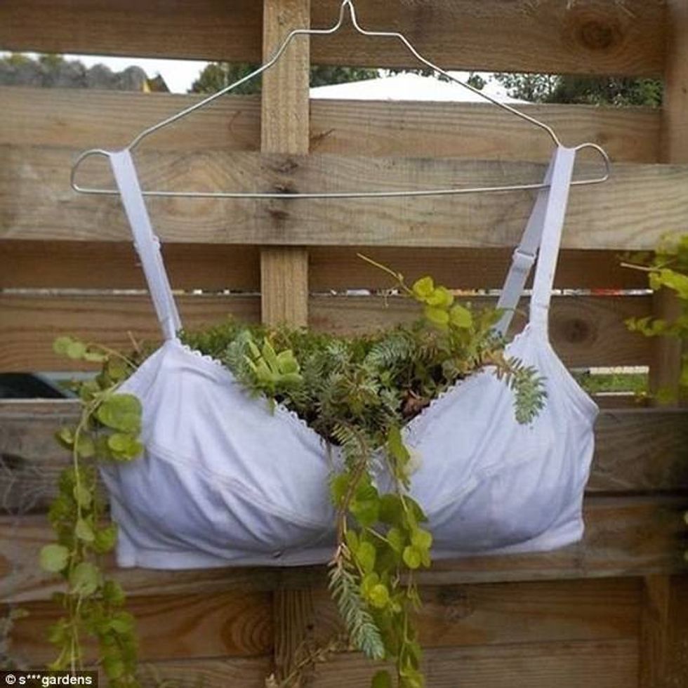 Mënyrat më të çuditshme në dekorimin e kopshteve foto 2