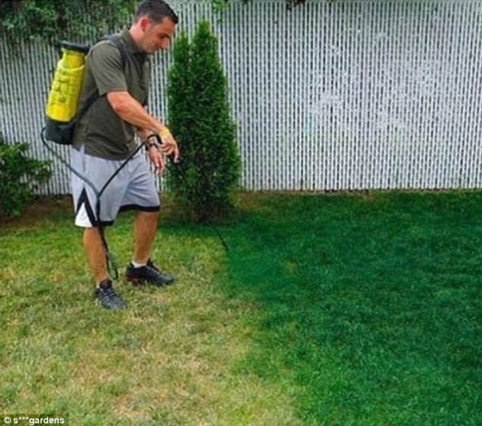 Mënyrat më të çuditshme në dekorimin e kopshteve foto 3