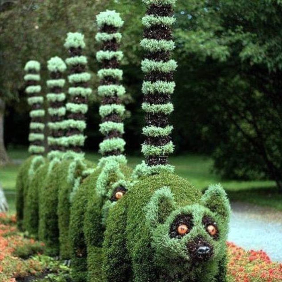 Mënyrat më të çuditshme në dekorimin e kopshteve foto 4