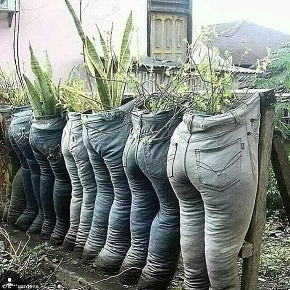 Mënyrat më të çuditshme në dekorimin e kopshteve foto 7