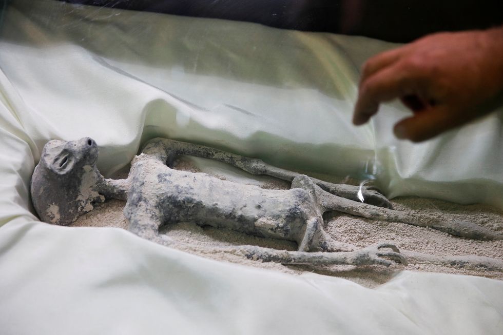 Mexican journalist and UFO enthusiast Jaime Maussan shows bodies he presented to Mexico's Congress, in Mexico City