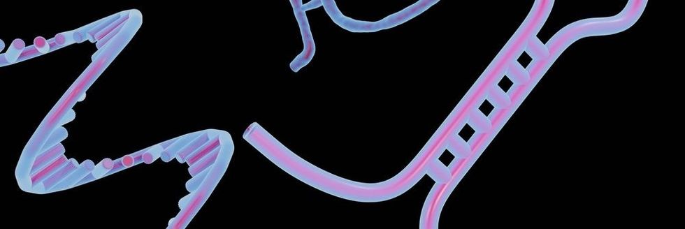 microrna e1674658772973