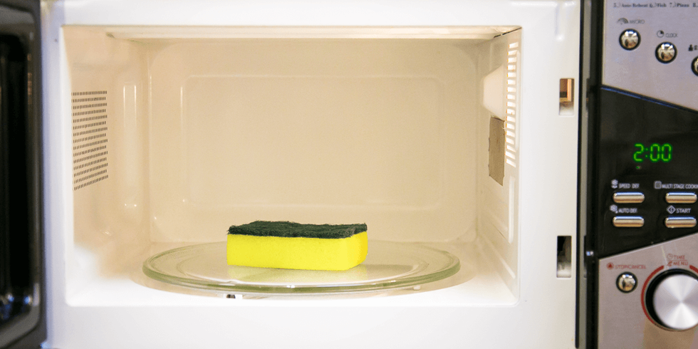 Microwave sponge 6sqft.com